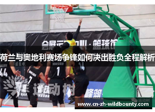 荷兰与奥地利赛场争锋如何决出胜负全程解析 荷兰与奥地利赛场争锋如何决出胜负全程解析