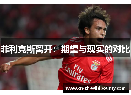菲利克斯离开:期望与现实的对比 菲利克斯离开:期望与现实的对比