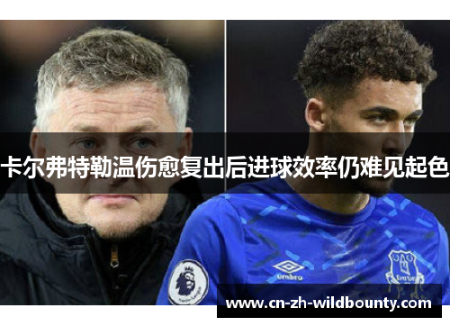 卡尔弗特勒温伤愈复出后进球效率仍难见起色 卡尔弗特勒温伤愈复出后进球效率仍难见起色