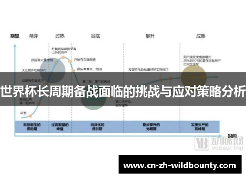 世界杯长周期备战面临的挑战与应对策略分析